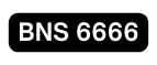BNS 6666
