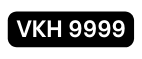 VKH 9999